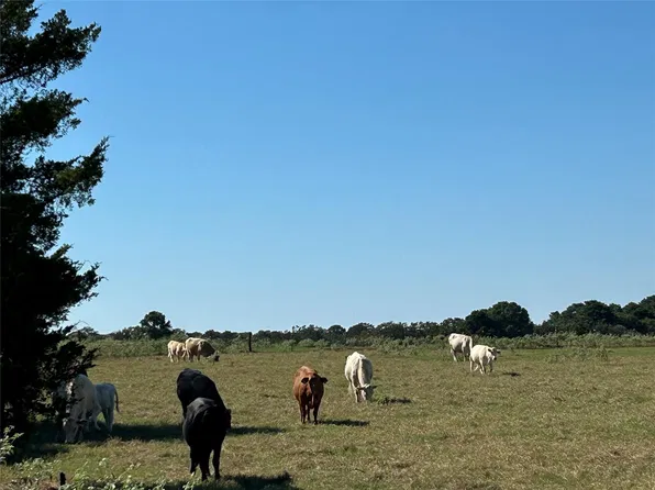 Farris Ln, Smithville, TX 78957