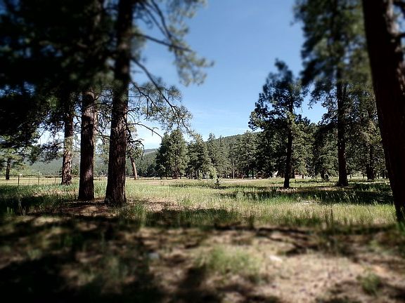 view of building site
