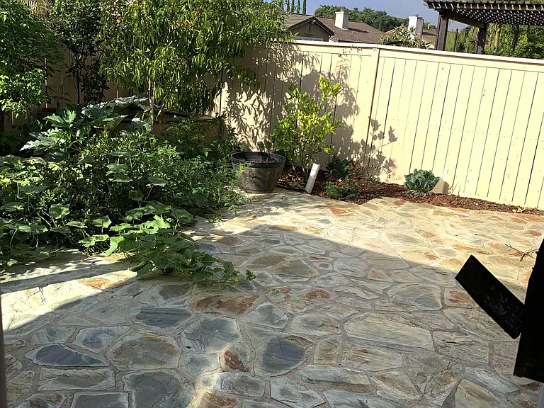 Nectarine, Strawberry Guava, Peach fruit trees