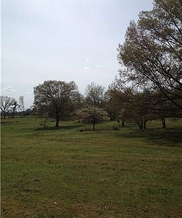 4th image of 911 Dogwood Ln