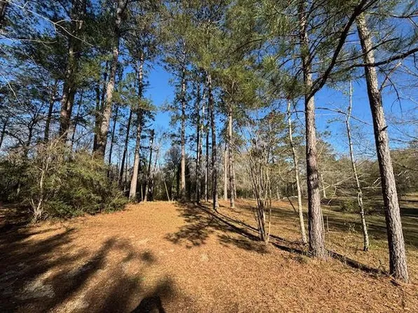 32400 Tom Warner Rd, Franklinton, LA 70438