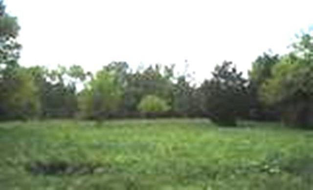 1st image of 7500 McLin Dr