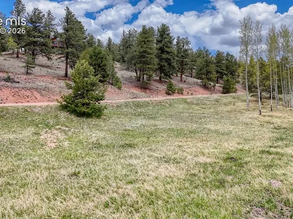 42 Rabbit Cir, Florissant, CO 80816