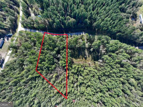 Gillespie Rd #4, Millen, GA 30442