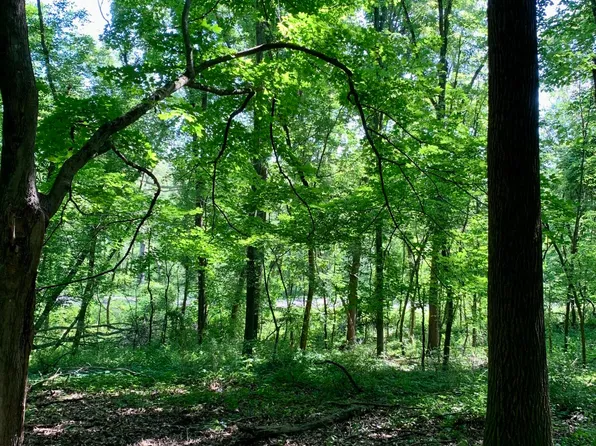 Albion Rd, Concord, MI 49237