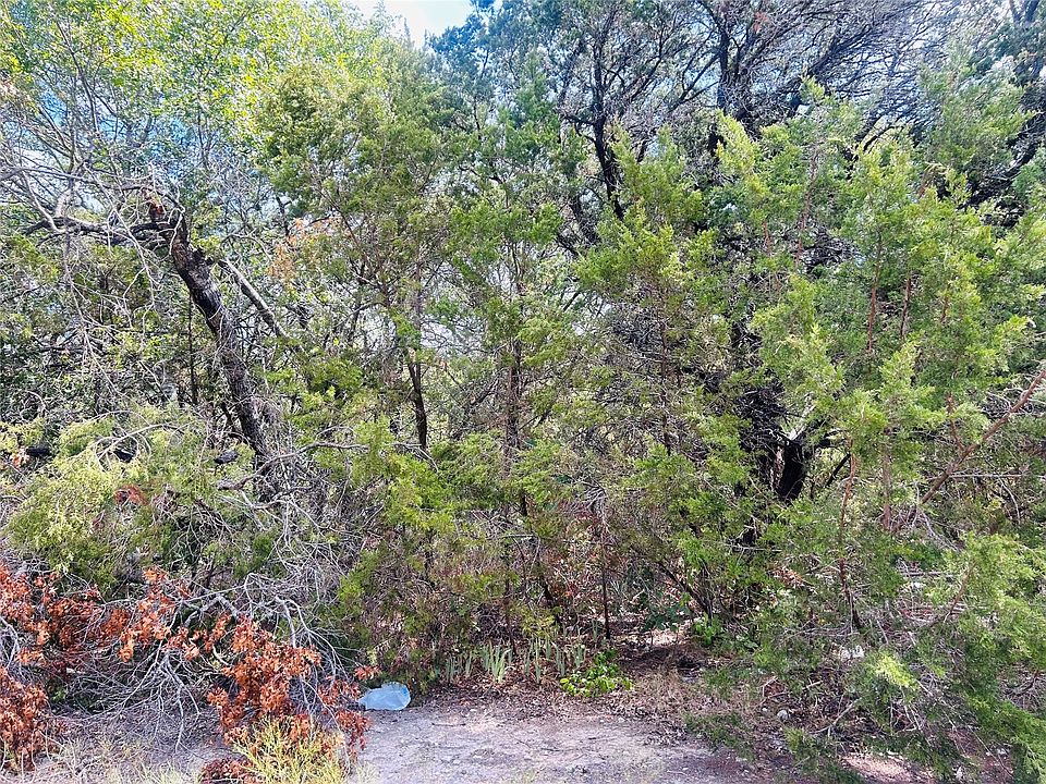 2nd image of Giant Cedar Trl