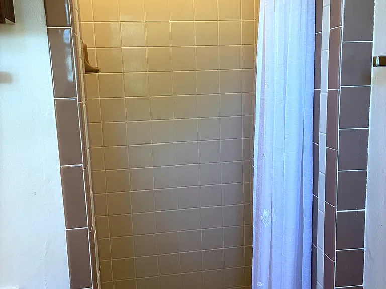 lower level bathroom shower