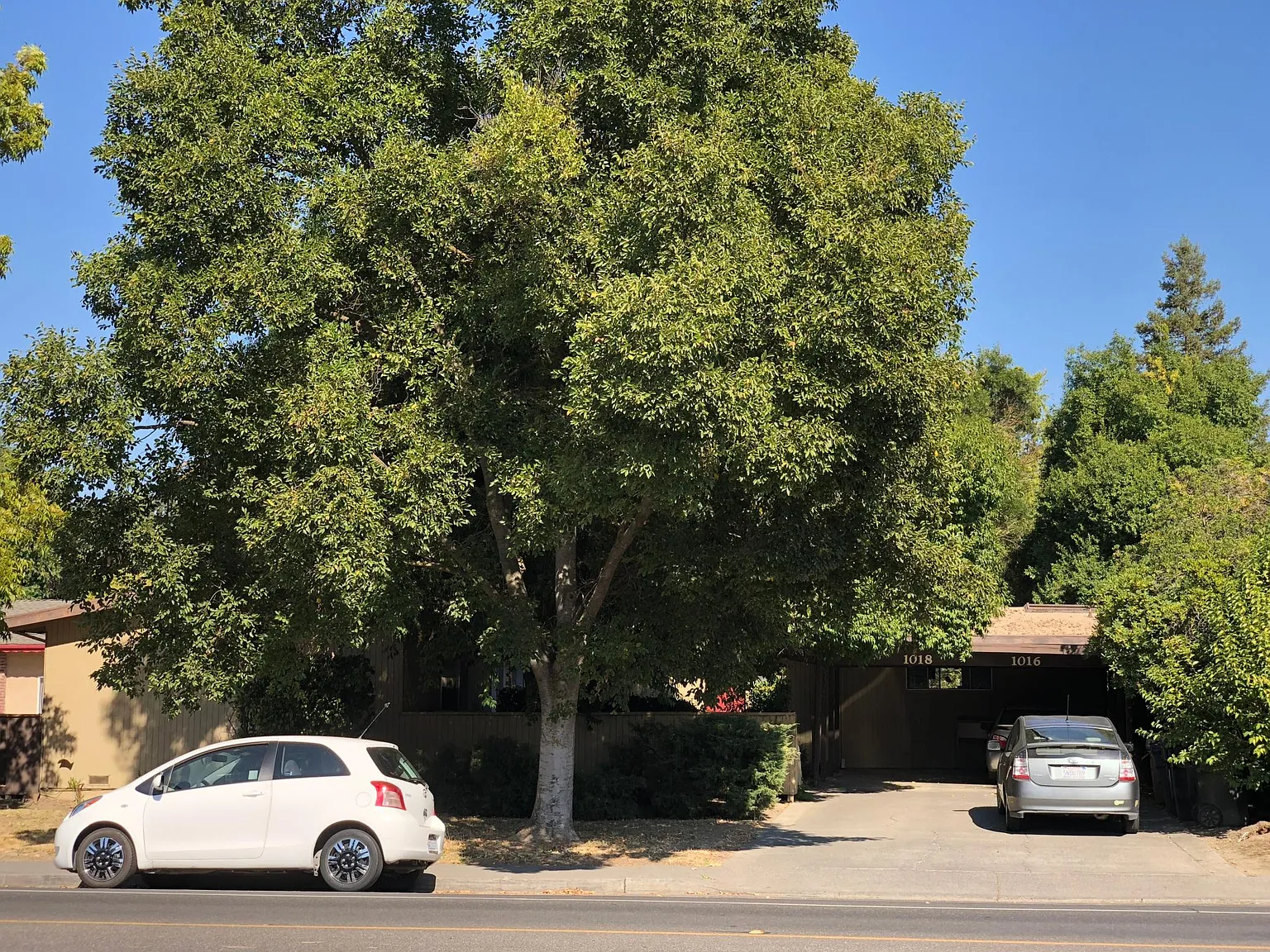 2 bed, $1,900 — Photo 1