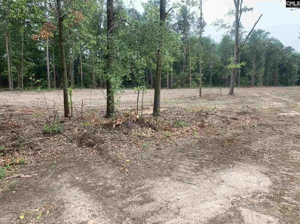 226 Rawls Dr, Leesville, SC 29070