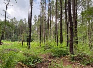 2395 Shell Oil Rd LOT 1, Brandon, MS 39042