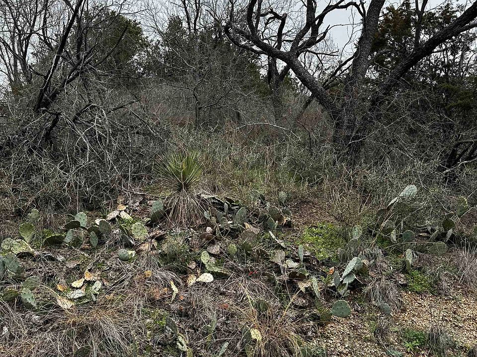 2nd image of Lot 424 Castlewood Drive