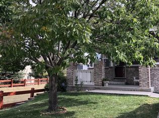 4194 Miners Candle Dr, Castle Rock, CO 80109