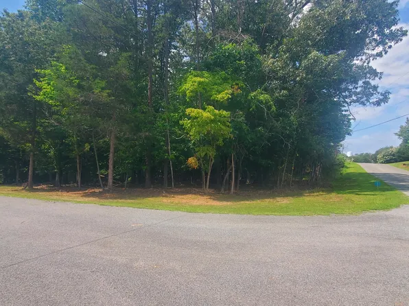 0 Alpine Dr Lot 13, Union Hall, VA 24176