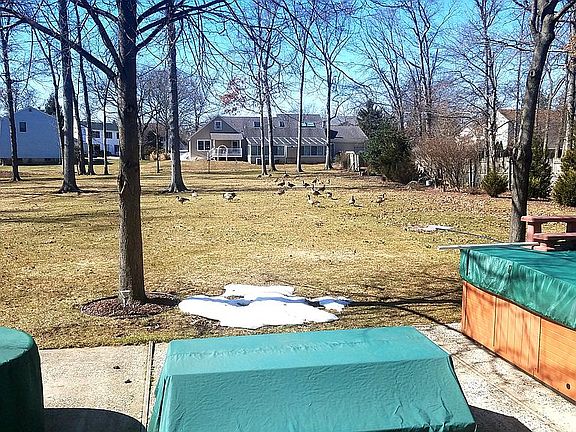 Super big backyard