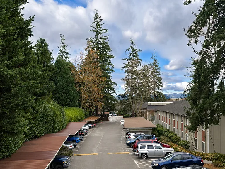 Timberwood — Photo 32