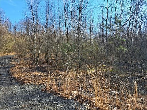 2nd image of 1 Joffre Cherry Valley Rd