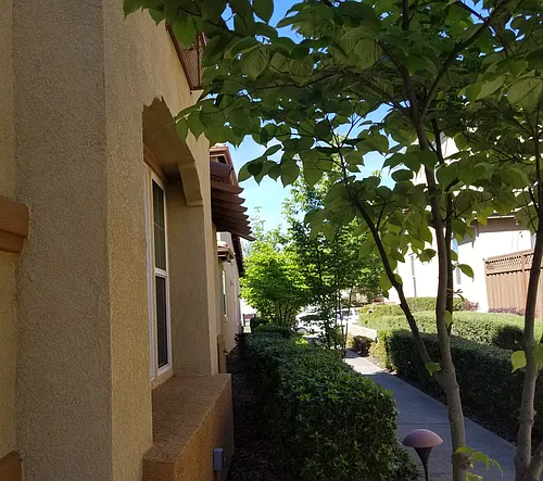 882 Bullion Ln Photo 1