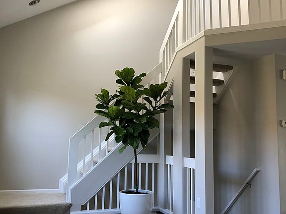 3rd image of 1305 S Washington Ave #104