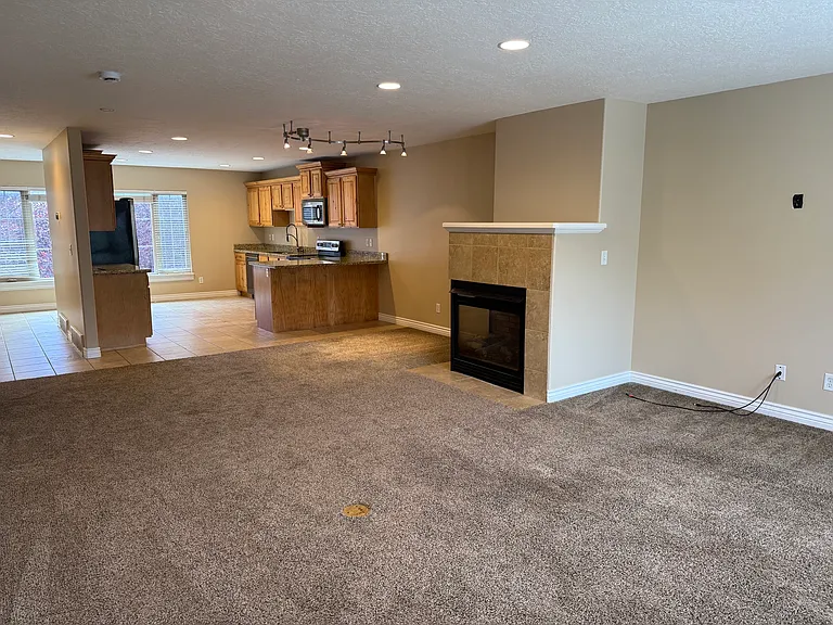 1361 E Mossy Springs Ln — Photo 4