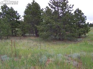 312 Elk Ln, Guffey, CO 80820