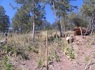 306 Forrest Ln, Ruidoso, NM 88345