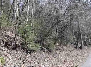 Punkton Rd, Del rio, TN 37727