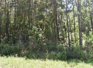 Highway 260, Manning, SC 29102
