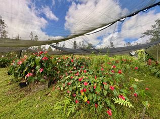 Road 3 Hopue Lot 3190, Mountain View, HI 96771