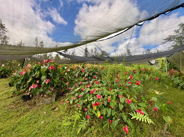 Road 3 Hopue Lot 3190, Mountain View, HI 96771