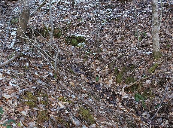 5th image of 9999 (10.27 Acres) Dock Branch Rd