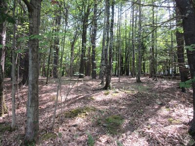 0 Lakeview Road, East Durham, NY, 12423