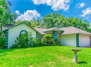 19536 Deer Lake Rd, Lutz, FL 33548