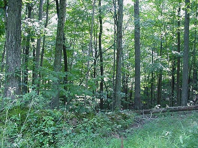 2nd image of Oak Grove Rd