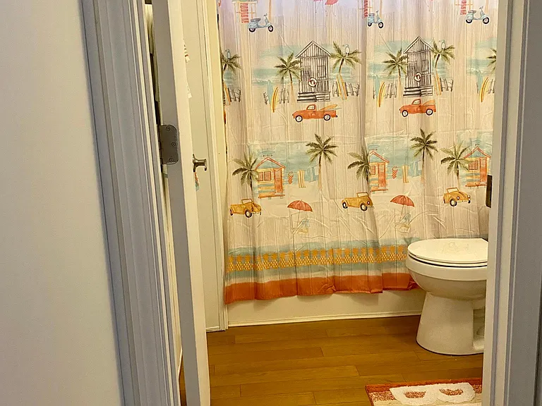 Guest / Hall Bathroom #1