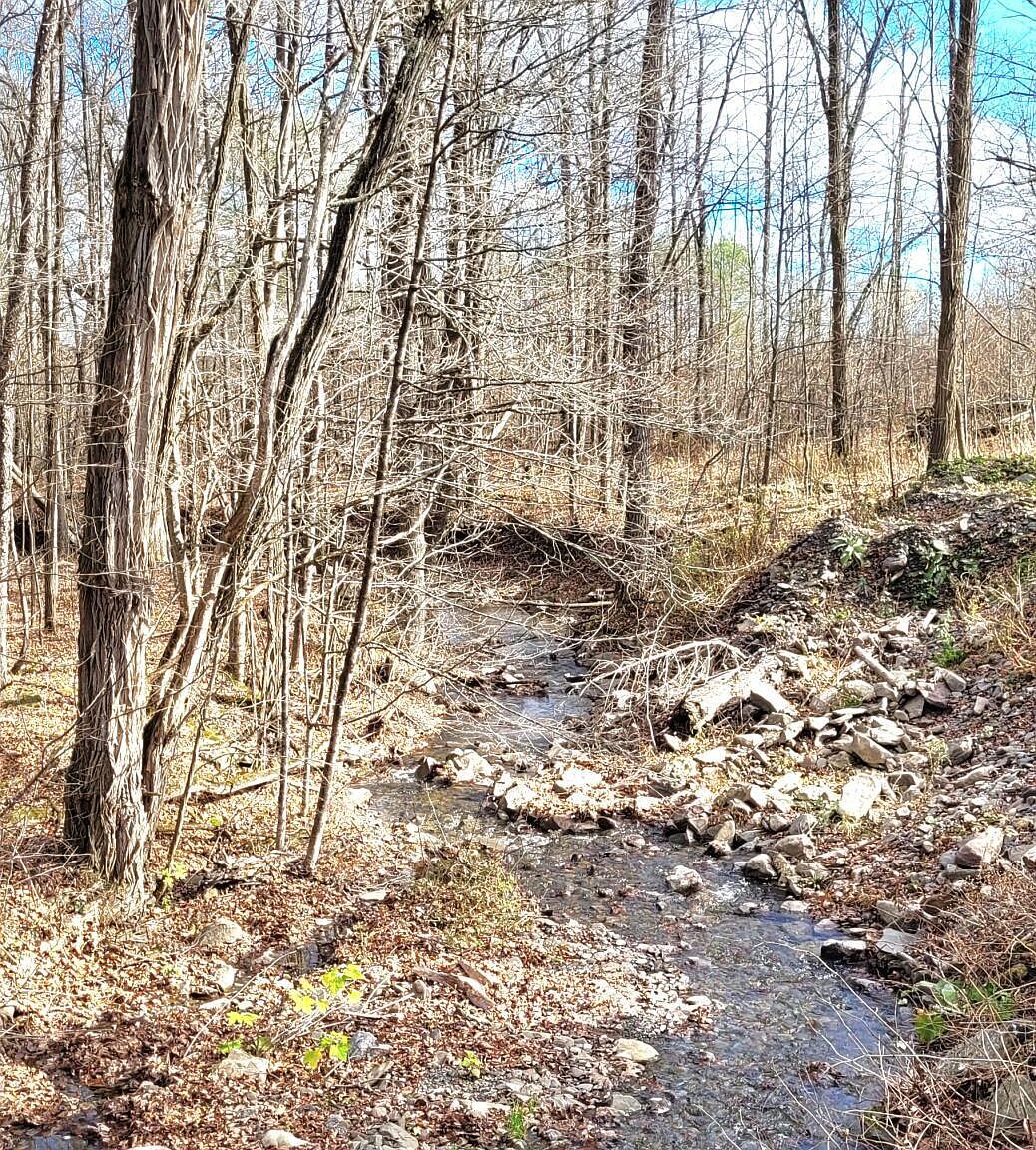 L8.1 Pucker Street, Preston Hollow, NY 12469 Zillow