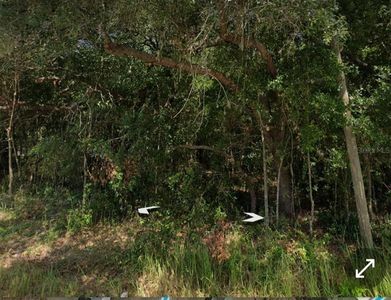 Dogwood Drive Loop Lot 22, Ocala, FL, 34472