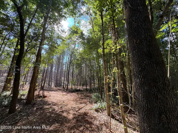 32/AC Barrons Bridge Rd, Dadeville, AL 36853