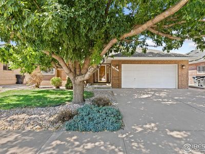 1633 Francis Way, Longmont, CO, 80501