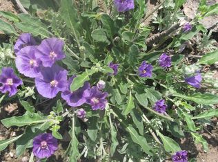 23507 Sanderson Canyon Rd, Sanderson, TX 79848