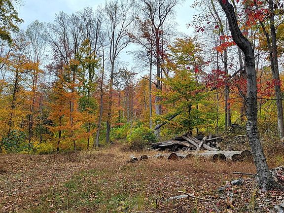 2nd image of 4460 Middlepoint Rd