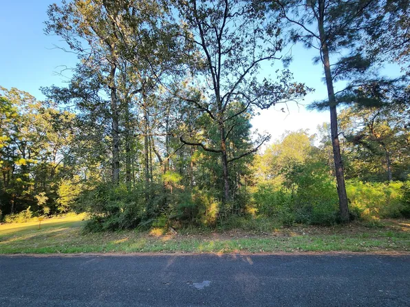 0 Hackberry Dr, Onalaska, TX 77360