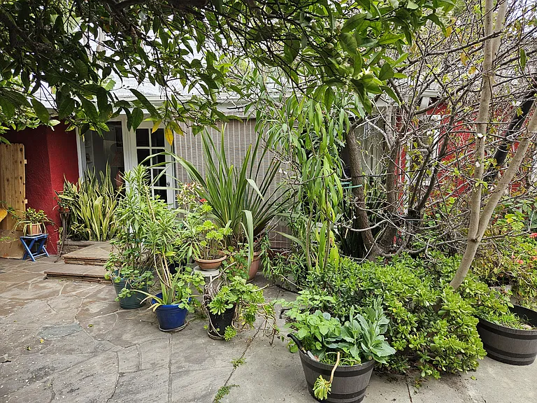 Daisy Ave — Photo 33