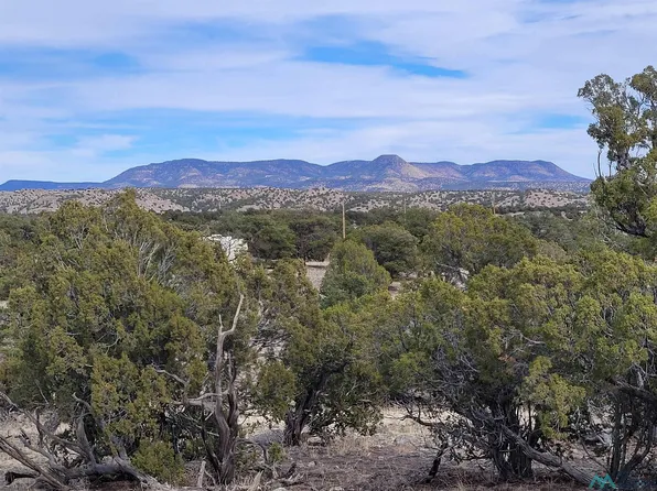 47 Cougar Run, Datil, NM 87821