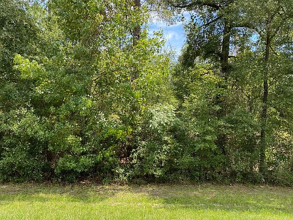2nd image of LOT 19 County Road 136