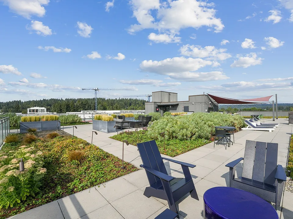 Take in the views from this lush rooftop retreat.