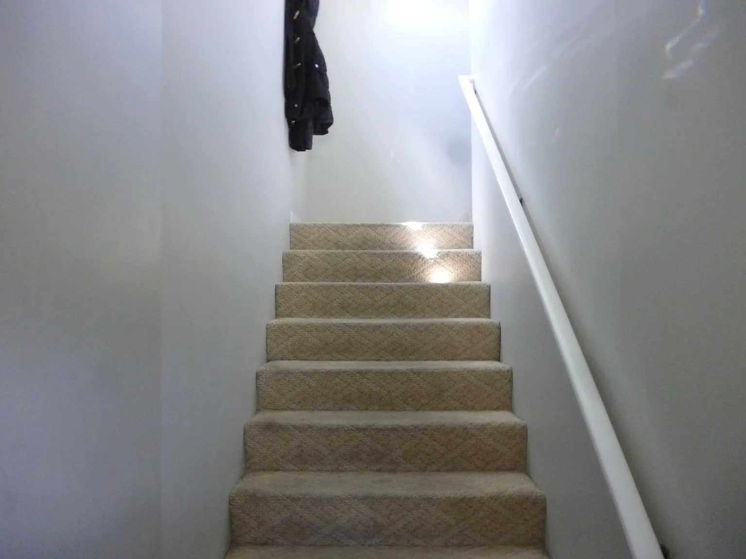 1 bed, 660 sqft, $1,495 — Photo 4
