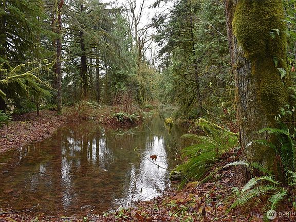 5th image of 15327 May Creek Road