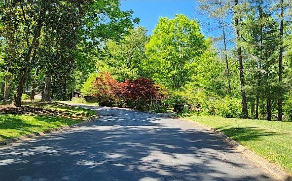4th image of 144 W Forest Dr