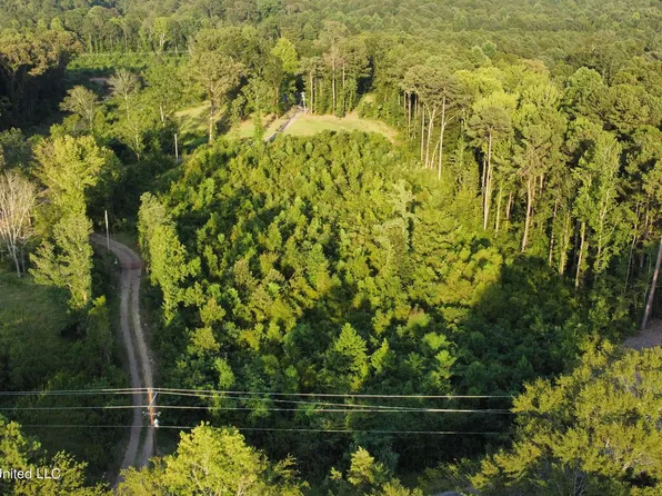 Cleary Rd, Florence, MS 39073