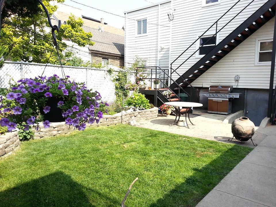 Backyard in the summer